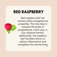 Load image into Gallery viewer, Estrogen + Progesterone Support Bundle