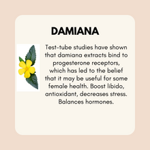 Load image into Gallery viewer, Progesterone Support