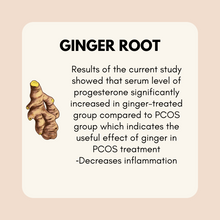 Load image into Gallery viewer, Progesterone Support