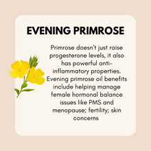 Load image into Gallery viewer, Estrogen + Progesterone Support Bundle