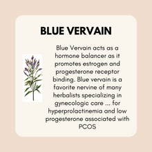 Load image into Gallery viewer, Estrogen + Progesterone Support Bundle