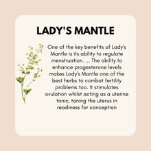 Load image into Gallery viewer, Estrogen + Progesterone Support Bundle