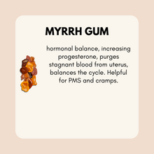 Load image into Gallery viewer, Estrogen + Progesterone Support Bundle