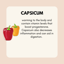 Load image into Gallery viewer, Progesterone Support