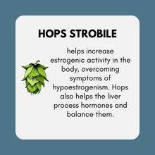 Load image into Gallery viewer, Estrogen + Progesterone Support Bundle