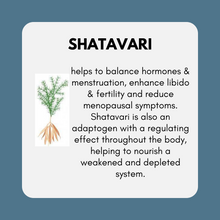 Load image into Gallery viewer, Estrogen + Progesterone Support Bundle