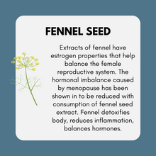 Load image into Gallery viewer, Estrogen + Progesterone Support Bundle