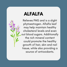 Load image into Gallery viewer, Estrogen + Progesterone Support Bundle