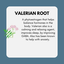 Load image into Gallery viewer, Estrogen Support