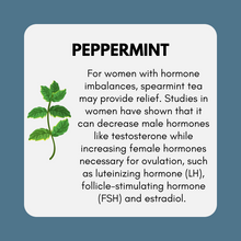 Load image into Gallery viewer, Estrogen + Progesterone Support Bundle